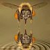 Bee Life by Demetris Q Washington - Facebook