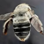 Bee White Comércio de Mel 🍯🐝 - @beewhite2023 - Instagram