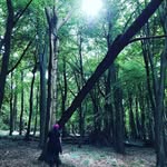 Bee-Frances Wood - @beewood.poetry - Instagram