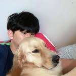 배영도 - @bee_youngdo - Instagram