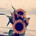 Bee Zaa - Facebook