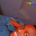 Bee Zee - Facebook