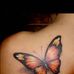 Bee Zee - Facebook