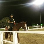 Bee Zee - @baseer_zaman - Instagram