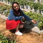 Bee'Bee Tan - @summer_sale_online - Instagram