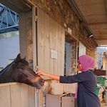 Beebee-Tansin Sheik - @tansin.beebee - Instagram
