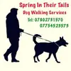 Beebee Pawsomepooches Walker - @beebee.pawsomepoo - TikTok