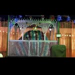 Beebijan Shaik - @beebijan_varshi - Instagram