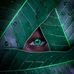 Bachir Miller - Facebook