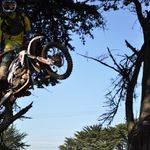 Mark Beecher Smith - @msbeecher - Instagram