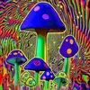 Beecher Wilson - @beecher.wilson - TikTok
