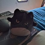 BeeJay Lee - @feenix88 - Instagram