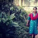 Beena Jaison - @beenajaison - Instagram