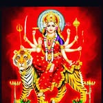 Beena Mohan - @beena1535 - Instagram