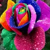 Beena peter - @user76607602 - TikTok