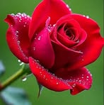Beena Rani - Facebook