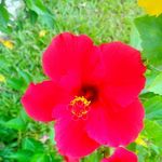 Beena Simon - @beena.simon.186 - Instagram