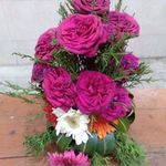 Beena Simon - @beena.simon14 - Instagram