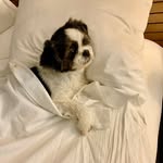 Beena Adhikari Sood - @beena.a.sood - Instagram