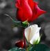 Beena Sood - Facebook