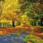 Beenish Ansari - Facebook