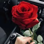 Beenish Ansari - @beenishansari2766 - Instagram