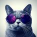Beenish Anwar - Facebook