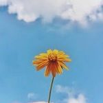 Beenish Anwar - @beenish._.anwar - Instagram