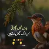 Beenish Ismail - @beenish.ismail0 - TikTok
