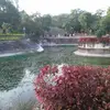 Begum Ali - @begumali9 - TikTok
