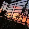 begumali2 - @begumali2 - TikTok
