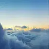 Behreh$10 - @behreh11436 - TikTok