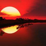 behdad rad - @behdadra - Instagram