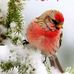 Behnam Azadi - Facebook