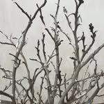 behnam azadi - @binameazadi - Instagram