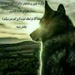 BEHNAM.EBADI - @behnam.ebadi1003 - Instagram