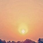 behnam.hamidi - @behnam.hamidi432 - Instagram