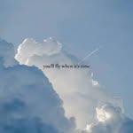 Behnam Kia - @behnamkia7_0_0 - Instagram