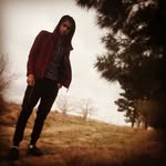 sasha.wolf - @sobhani_behnam - Instagram