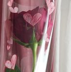 Behnaz Tehrani - Facebook