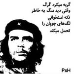 behrooz akbari - @behrooz_akbari6969 - Instagram