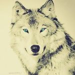 behrooz_akbari - @behrooz_akbari1350 - Instagram