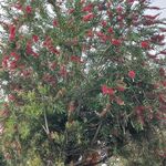 behrooz akbari - @behrooz_akbari40 - Instagram