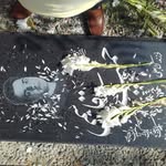 behrooz ansari - @behrozansari007 - Instagram