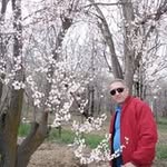 Behrooz Ansari - @ansari_behrooz - Instagram