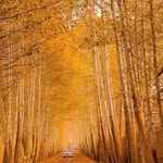 behrooz  azad - @behrooz_azad63 - Instagram