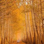 Behrooz_azad63 - @behrooz_azad.63 - Instagram