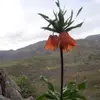 behrooz ebrahimi - @behrooz.ebrahimi4 - TikTok