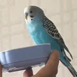 Behrooz Mostofizadeh - @mostofizadehbehrooz - Instagram