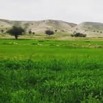 @behrooznaderi_photo - Instagram